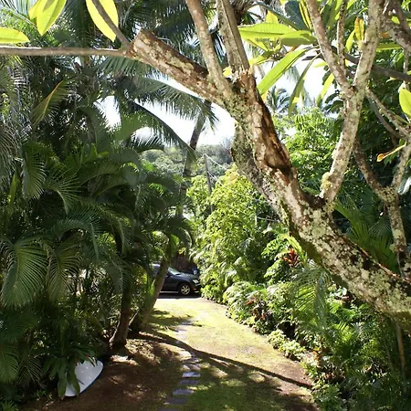 Waimea Bay Shoreline House Haleiwa Exterior photo